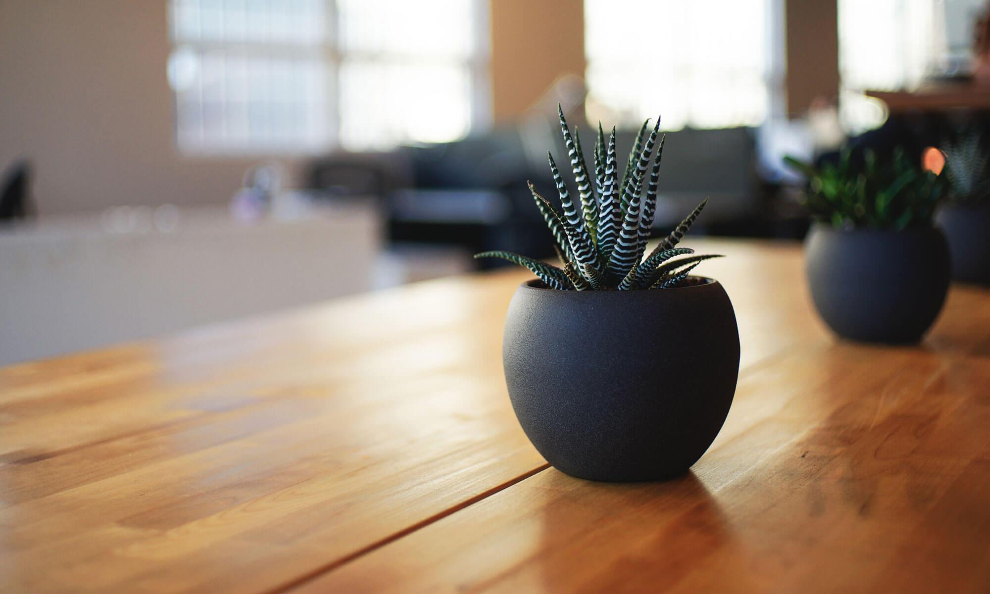Understanding The Role Of Co Maker When Applying For A Loan 